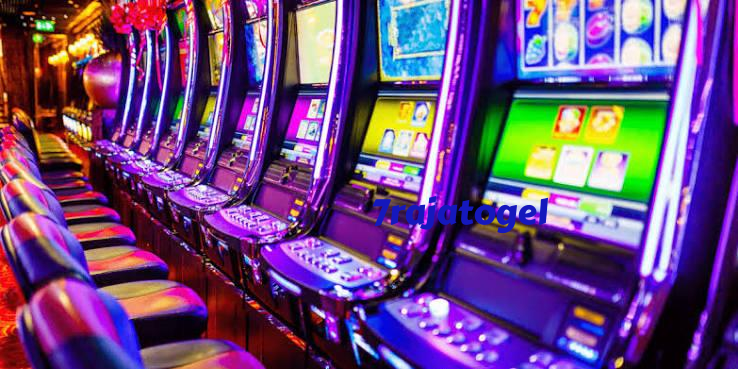 7rajatogel Live Game Shows at 7rajatogel